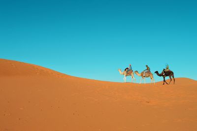 Scenic view of desert against clear blue sky in sahara desert