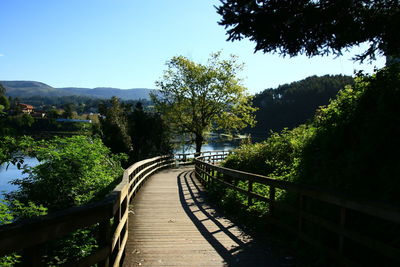 Footbridge amidst trees against clear sky
