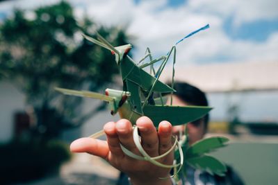 Close-up of person holding grasshoppers made from leaves