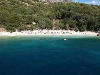 Scenic view of sea against trees