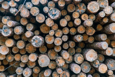 Full frame shot of logs in forest