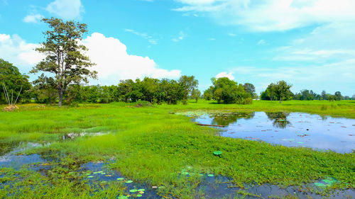 Scenic view of lake against sky