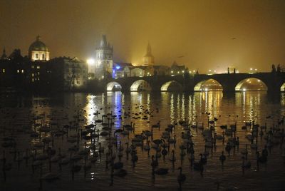 Mystery of foggy night 