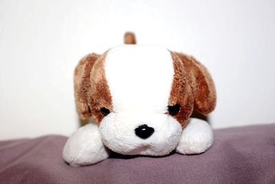 Close-up of stuffed toy against white background