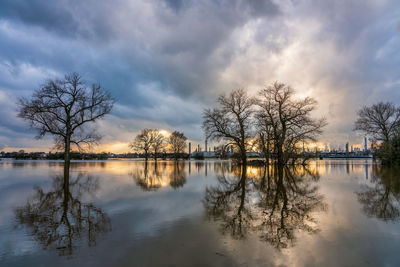 Reflection of trees in lake against sky