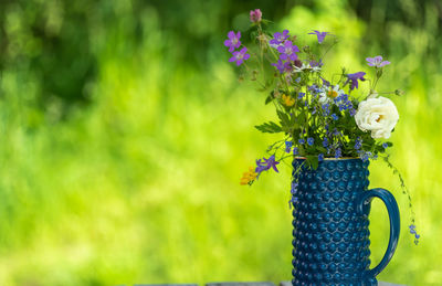 Close-up of purple flowering plant in vase