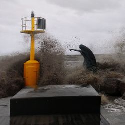 Bird perching on snow against sky