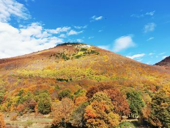 Low angle view of mountain against sky