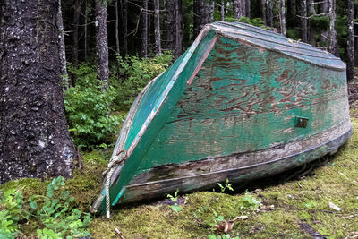 Abandoned boat on tree trunk in forest