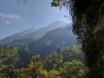 Scenic view of tree mountains against sky