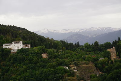Trees and buildings against sky