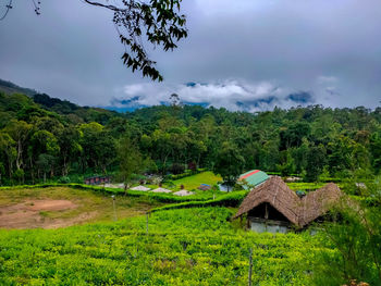 House amidst trees and plants against sky