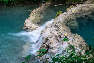 Scenic view of waterfall in forest