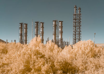 Low angle view of plants growing on field against sky in infrared