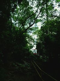 Low angle view of trees against sky