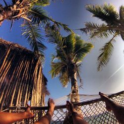 Low section of man and woman on hammock against palm trees