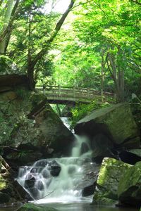 Scenic view of river flowing through rocks