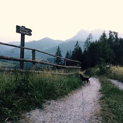 Landscape with mountains in background