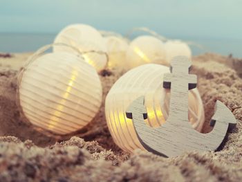 Close-up of shells on beach