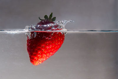 Close-up of red berries on glass