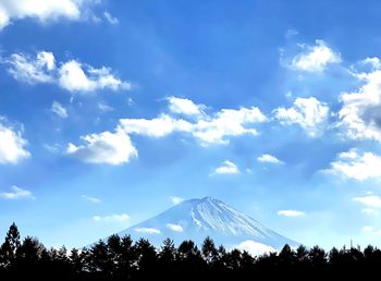 Low angle view of trees against sky