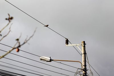 Low angle view of birds perching on electricity pylon against sky