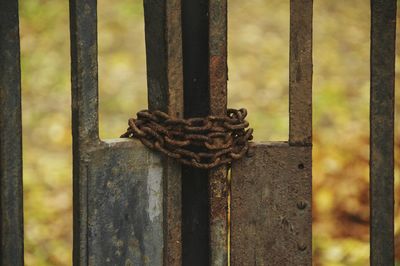 Close-up of rusty metal gate