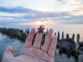 Close-up of person holding starfish