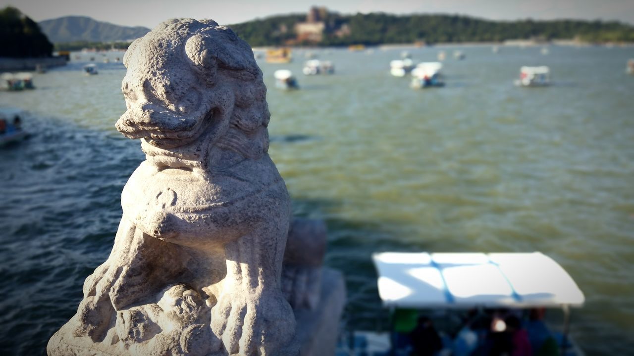 water, focus on foreground, sea, animal themes, bird, animals in the wild, beach, wildlife, close-up, outdoors, shore, day, nature, sculpture, one animal, river, incidental people, lake, animal representation, seagull