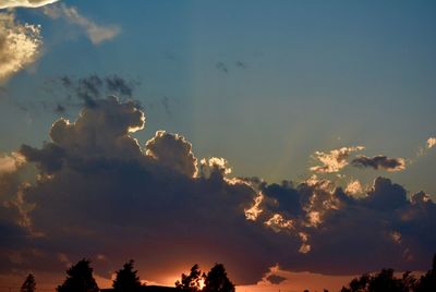 Low angle view of silhouette trees against sky during sunset