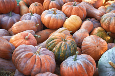 Full frame shot of pumpkins