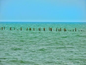 Scenic view of sea against clear blue sky