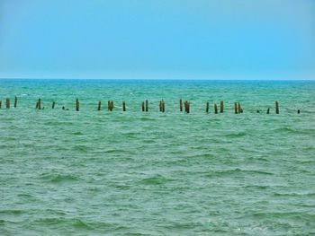 Scenic view of sea against clear blue sky