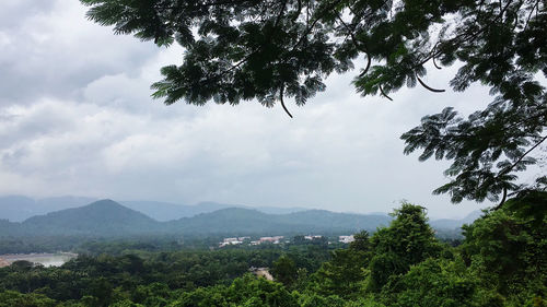 Scenic view of tree mountains against sky