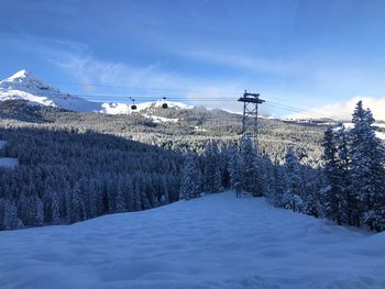 Snow covered land and trees against sky