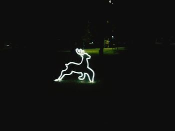 Light painting in park at night