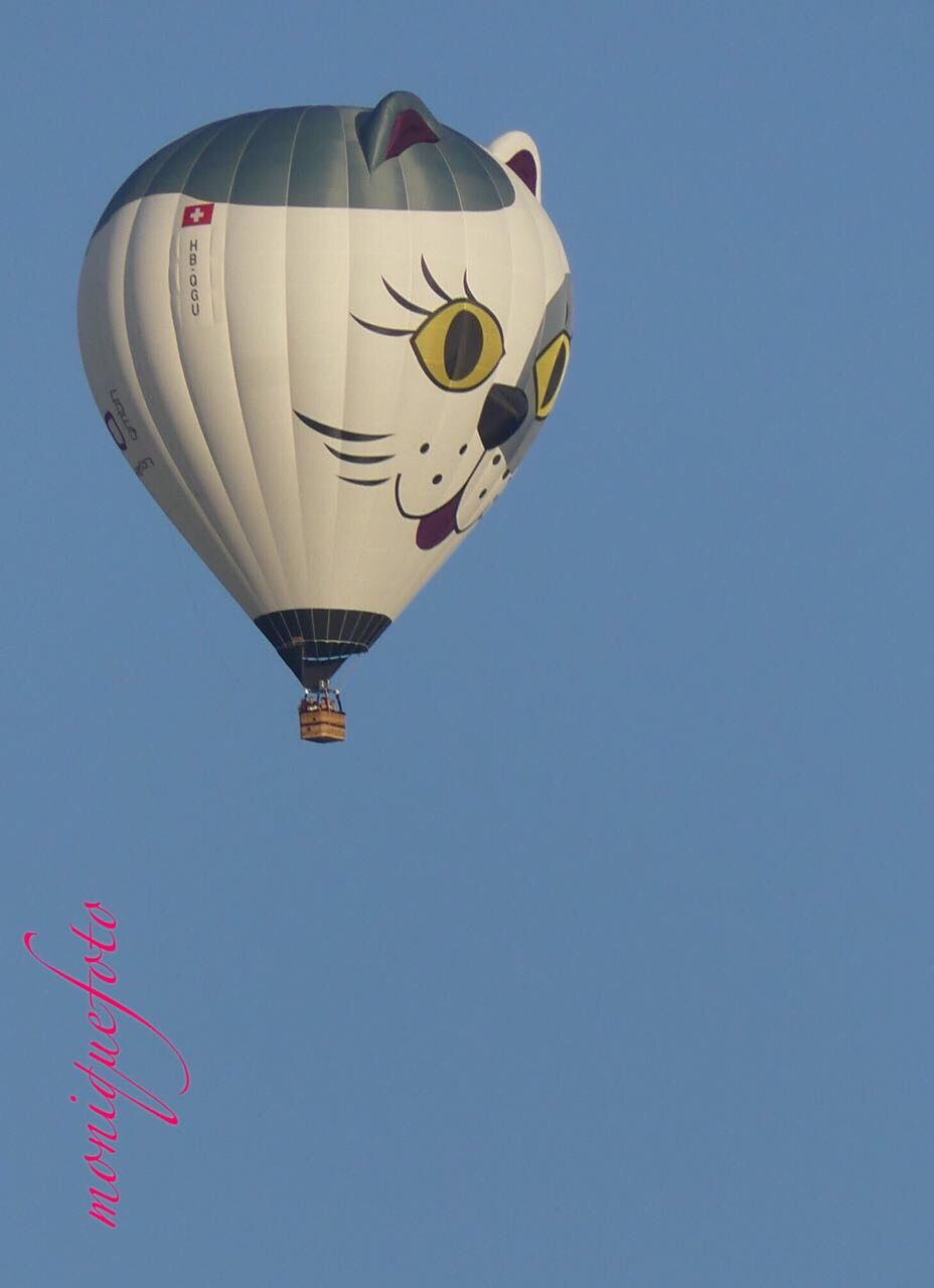 mid-air, flying, low angle view, hot air balloon, clear sky, sky, outdoors, day, air vehicle, balloon, no people