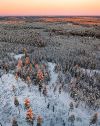 Sunset over snow covered trees during winter from drone perspective, otalampi, espoo, vihti, finland