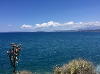 Scenic view of sea against blue sky