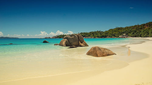 Scenic view of beach against clear blue sky