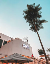 Low angle view of palm tree and building against sky