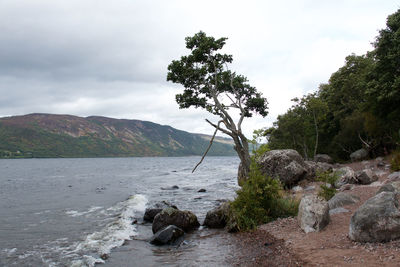 Scenic view of rocks by trees against sky