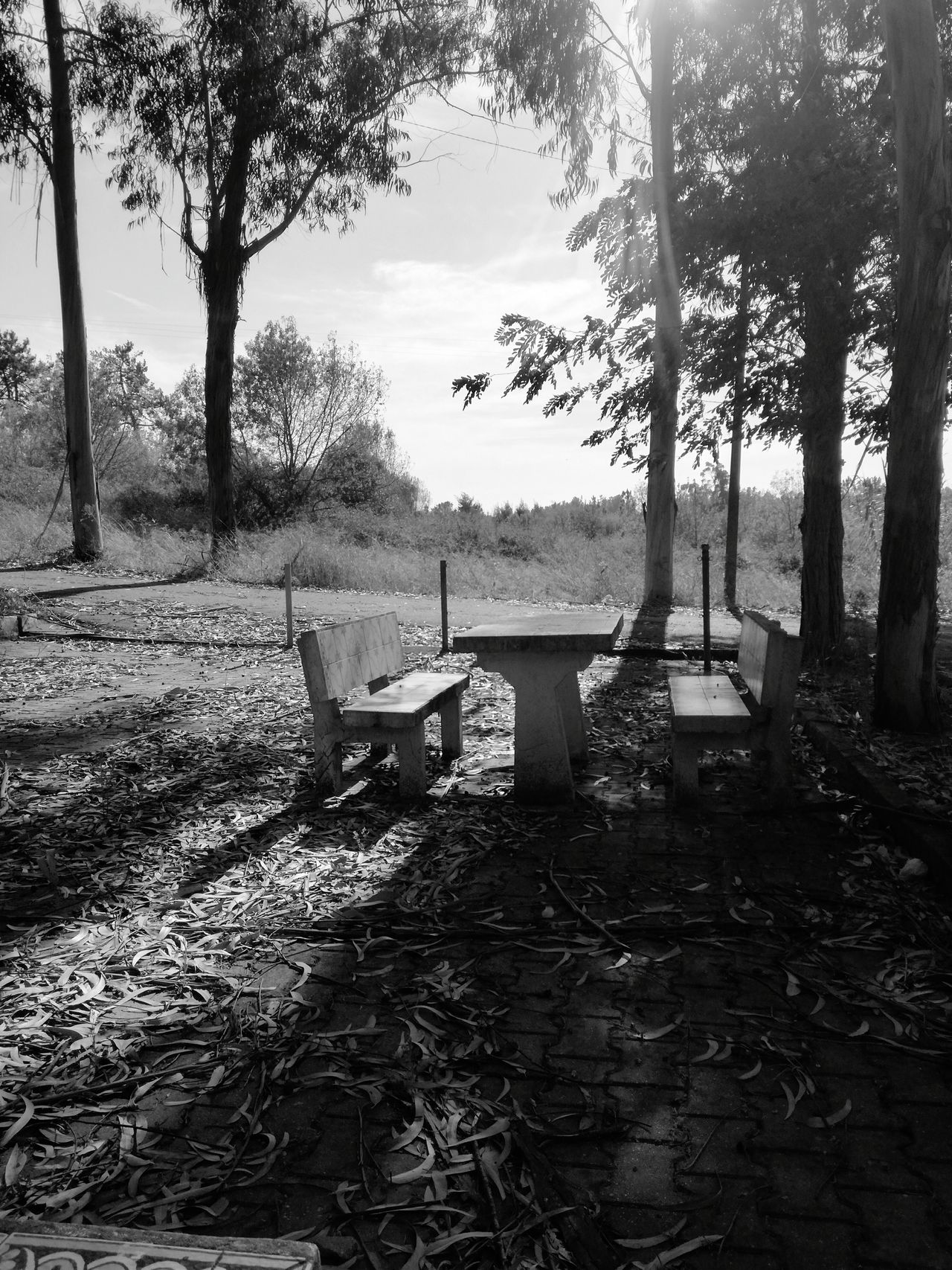 Praia do Ribatejo