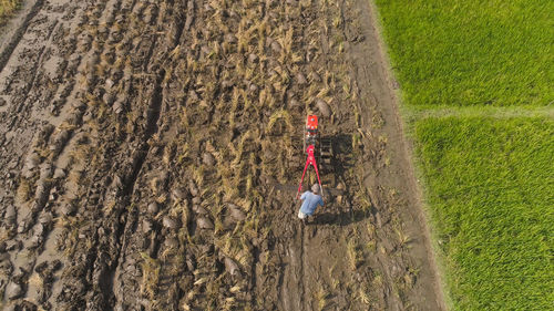 Farmer working in rice plantation using tiller tractor. paddy farmer prepares the land planting rice