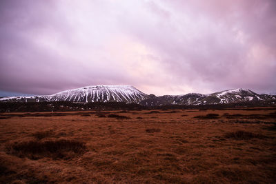 Scenic view of landscape against sky