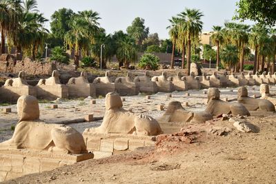 View of temple