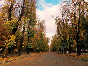 Footpath amidst trees against sky during autumn
