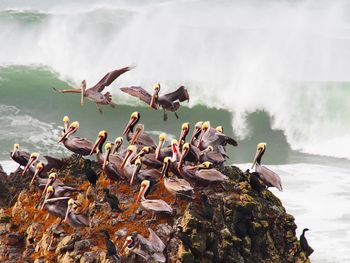 Tourists enjoying in sea