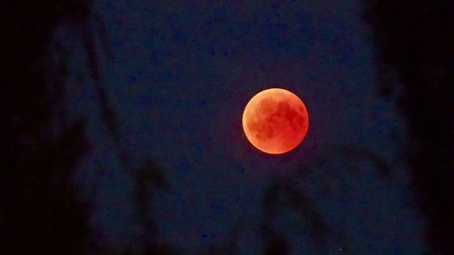 View of moon at night