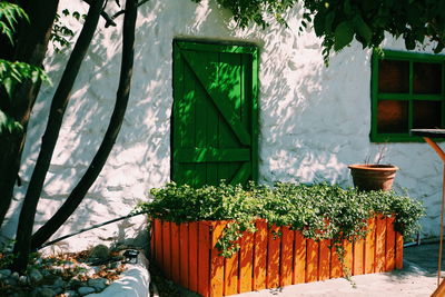 Potted plants outside house